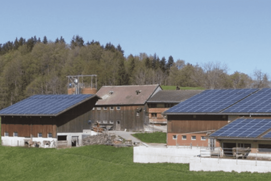 Solar panels at farm